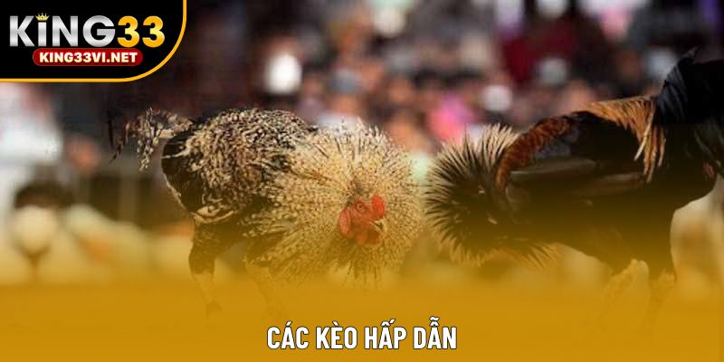 Các kèo hấp dẫn Các kèo hấp dẫn