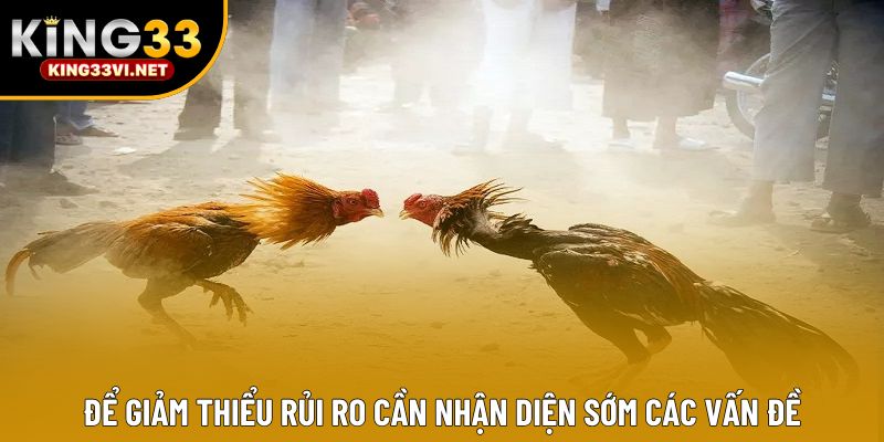 Để giảm thiểu rủi ro cần nhận diện sớm các vấn đề