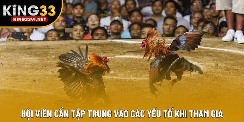 Hội viên cần tập trung vào các yếu tố khi tham gia