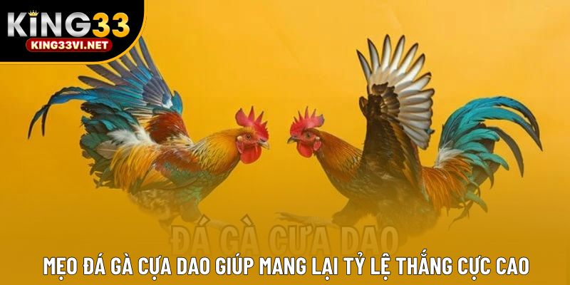 Mẹo Đá Gà Cựa Dao Giúp Mang Lại Tỷ Lệ Thắng Cực Cao