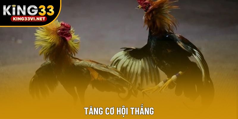 Tăng cơ hội thắng Tăng cơ hội thắng
