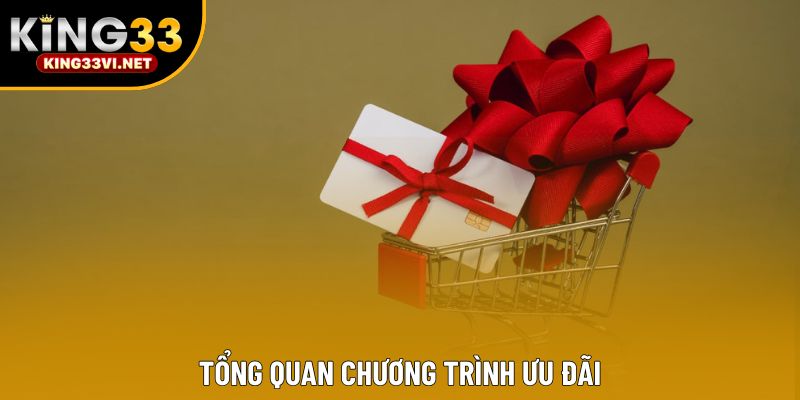 Tổng quan chương trình ưu đãi