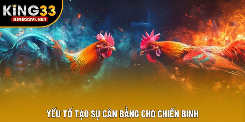 Yếu tố tạo sự cân bằng cho chiến binh Yếu tố tạo sự cân bằng cho chiến binh